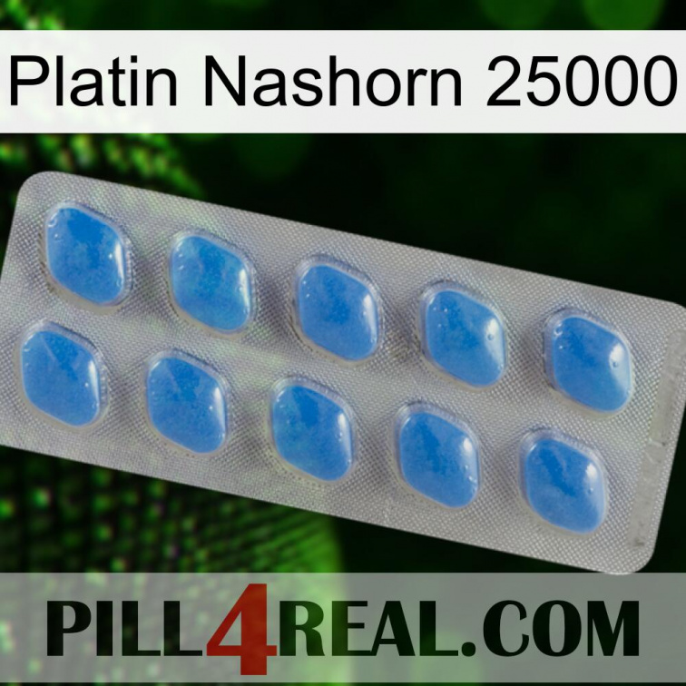 Platinum Rhino 25000 22